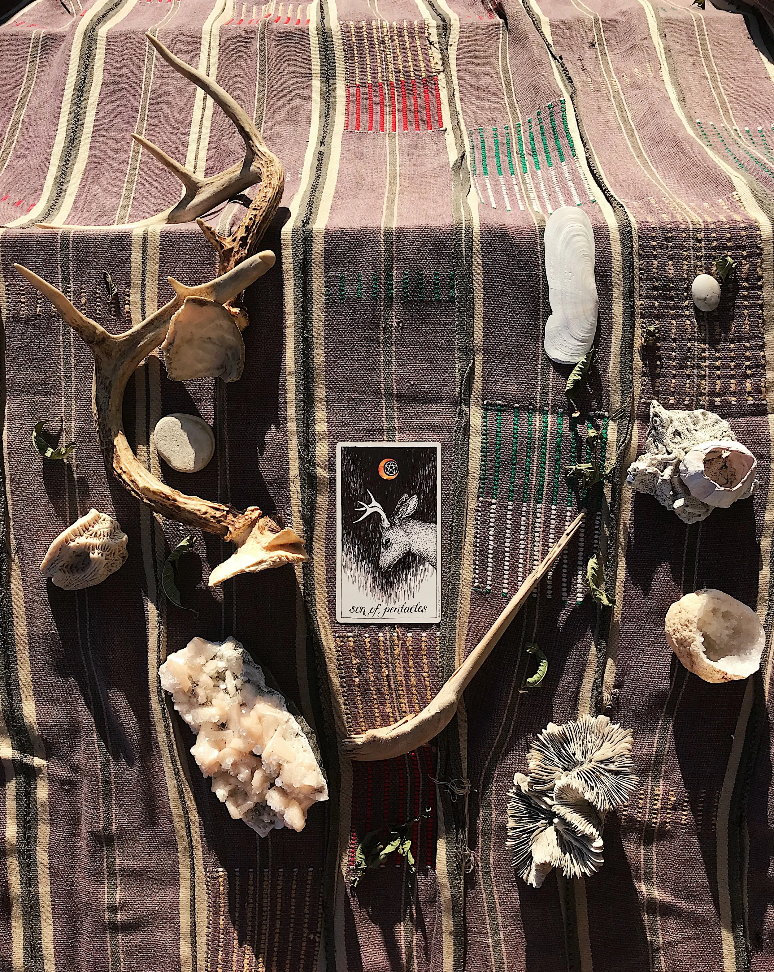 TAROTSCOPES | AUGUST 26 - SEPTEMBER 1