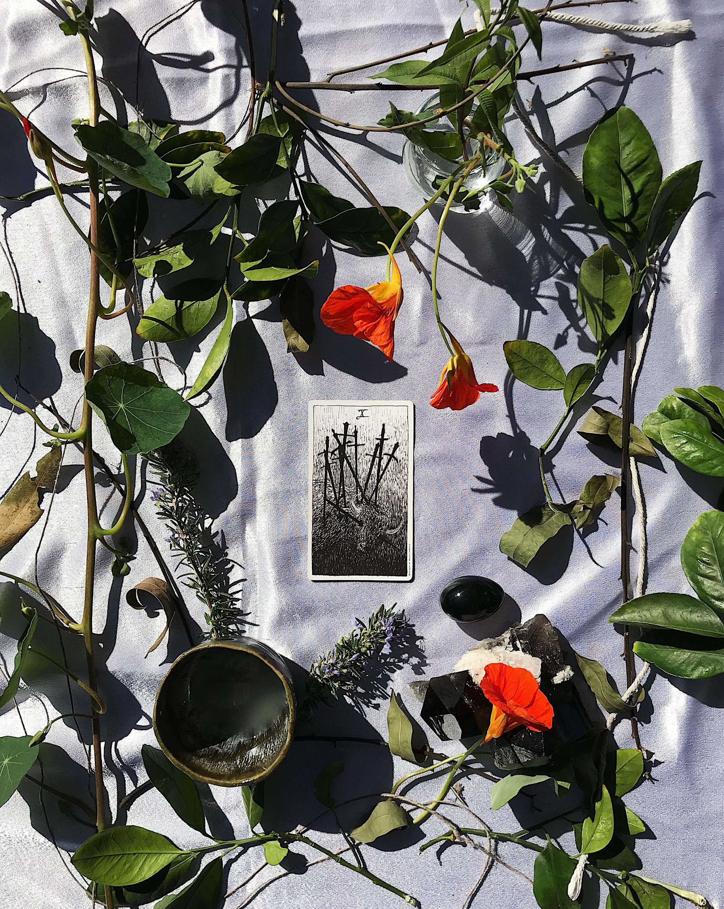 TAROTSCOPES | SEPTEMBER 9 - SEPTEMBER 15