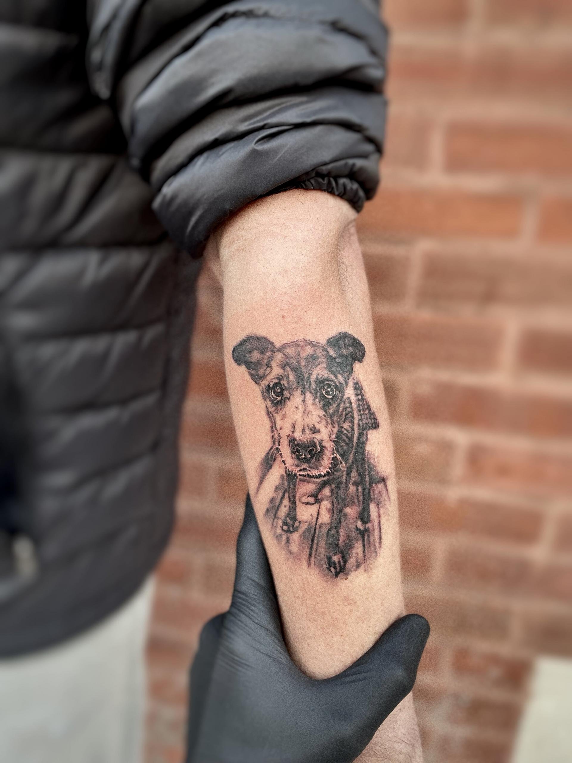 Dog Tattoo.jpg