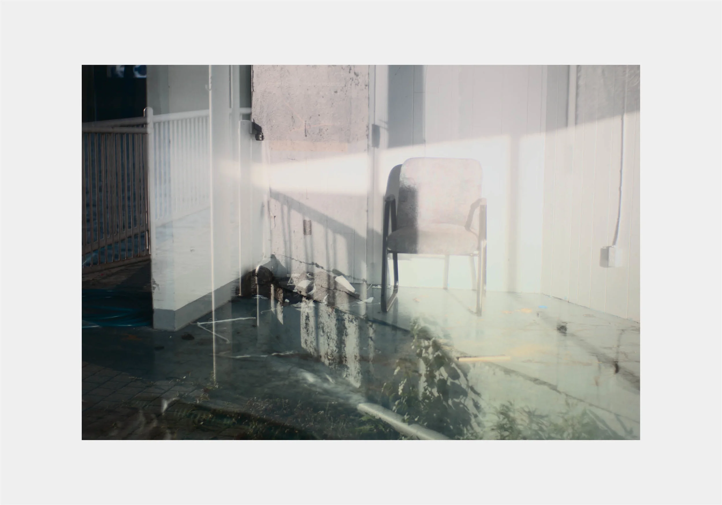 graf-study35.jpg