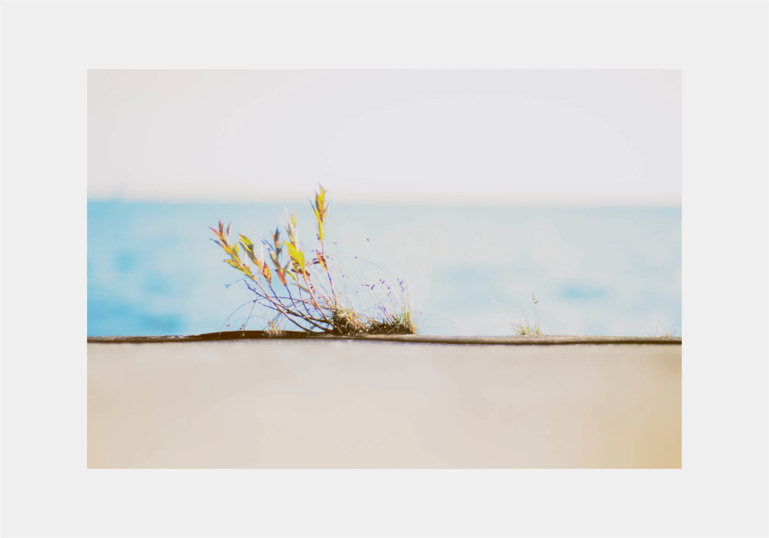 graf-study44.jpg