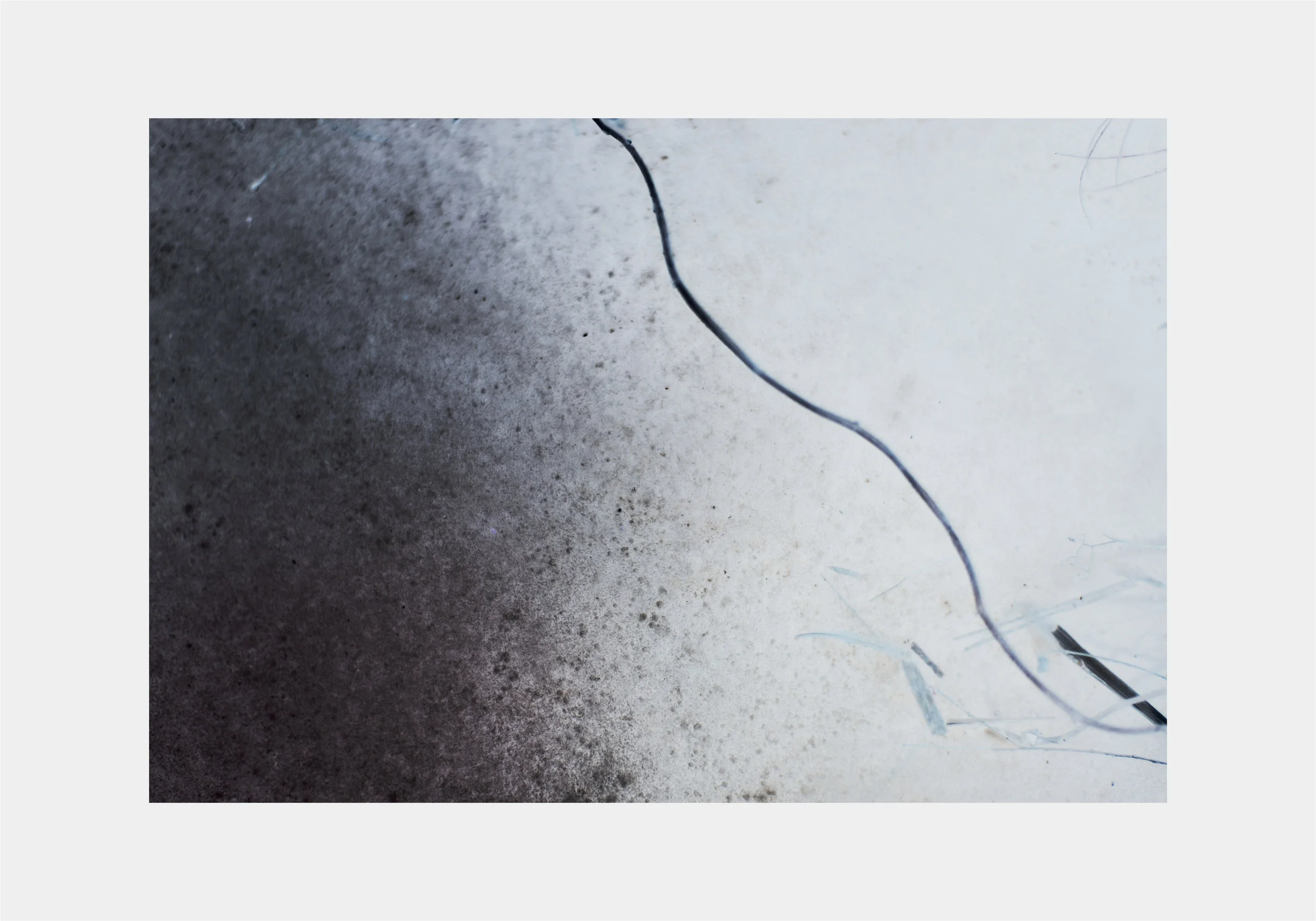 graf-study54.jpg