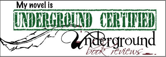 Underground Books Recognition