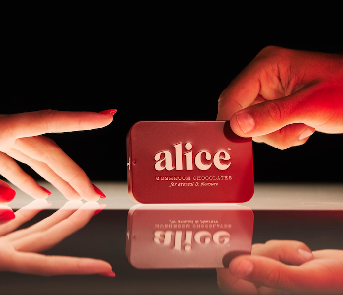 Alice Happy Ending Review: Presence, Connection, and Damiana