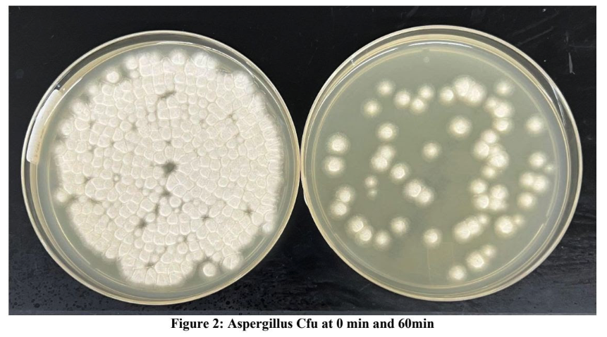 Laboratory petri dish comparison showing Aspergillus colony-forming units at 0 and 60 minutes during mold spore reduction testing.
