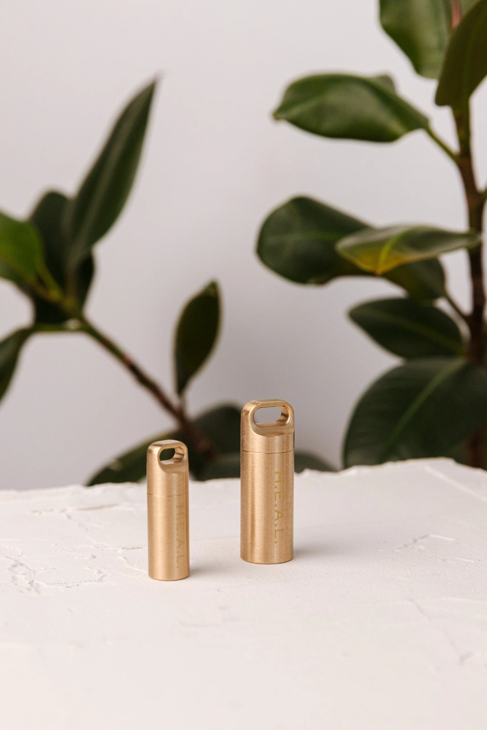 Leela Quantum Tech H.E.A.L.360 brass capsule necklace laid out