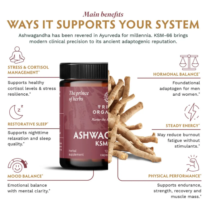 Tribe Organics Ashwagandha capsules photographed for the stress and sleep comparison
