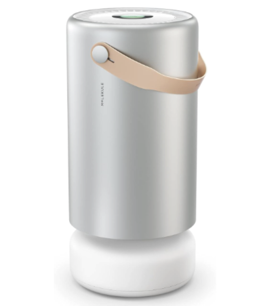 Molekule Air Pro air purifier featuring PECO filtration technology designed for large room air purification.