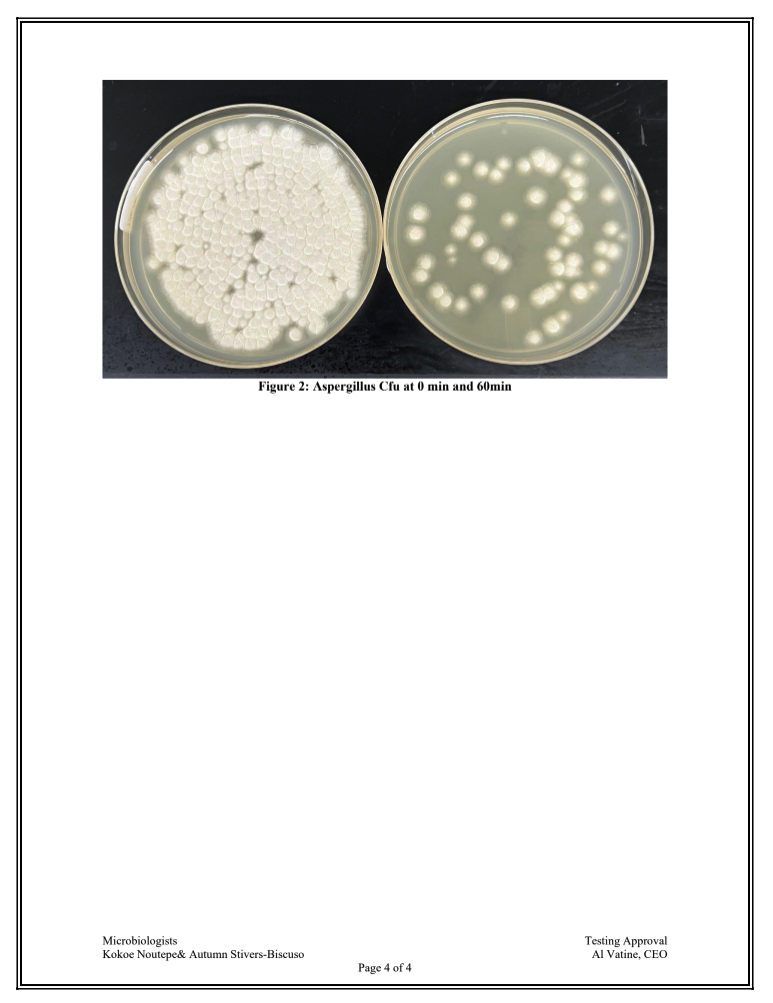Laboratory petri dish comparison of Aspergillus colony-forming units at 0 and 60 minutes during LMS Technologies mold reduction testing.