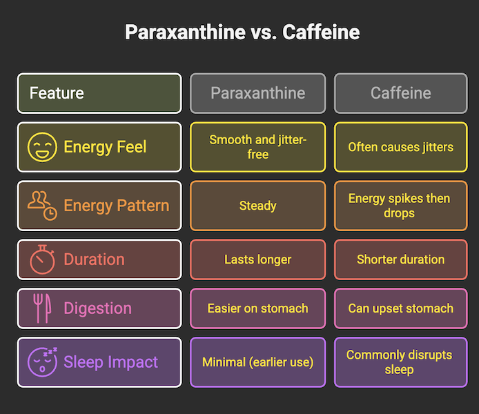 Infographic comparing paraxanthine vs caffeine for energy feel, duration, digestion, and sleep impact