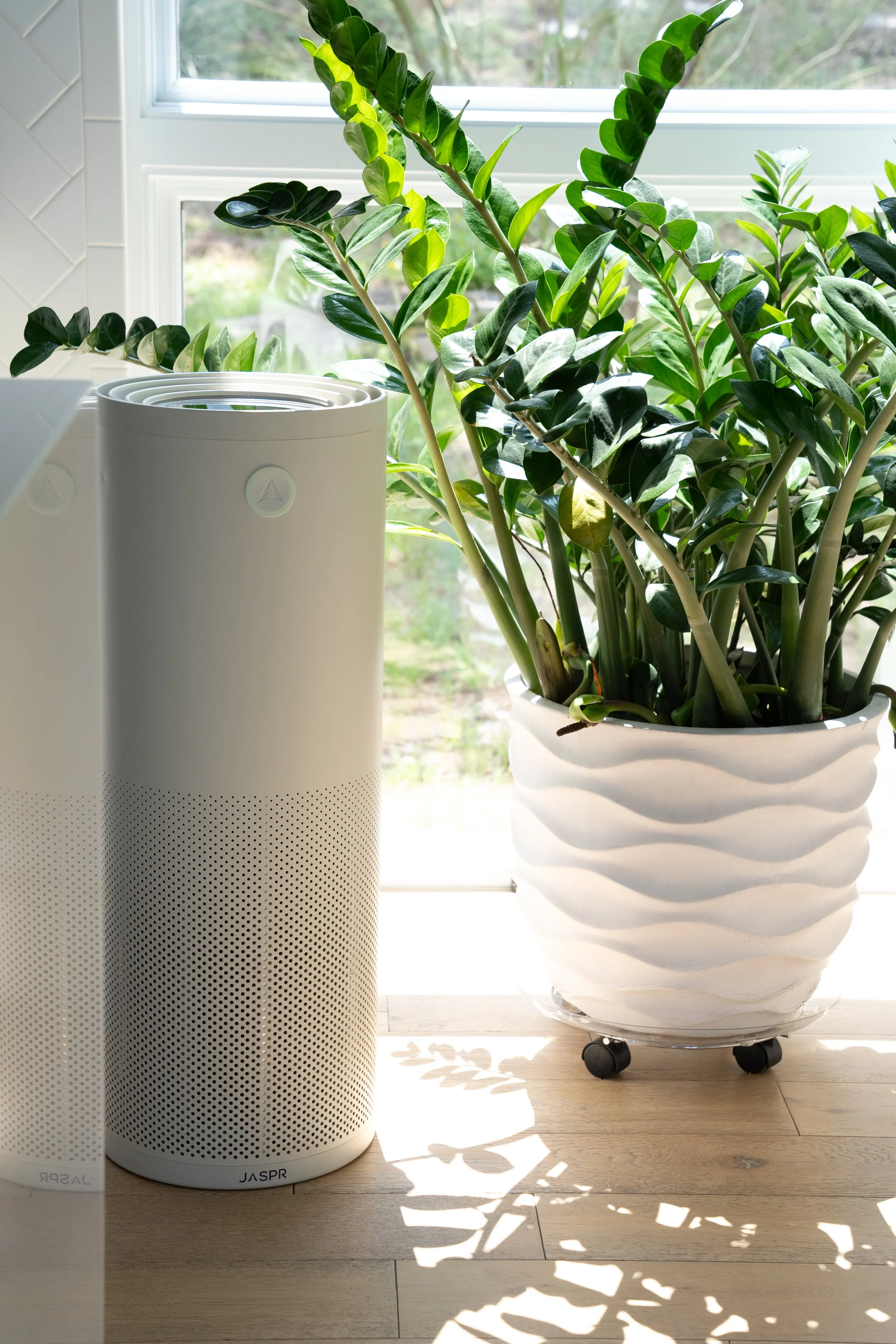 jaspr air purifier review 8.jpg