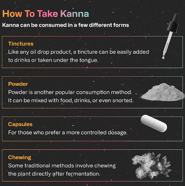 Infographic showing how to take kanna in tincture, capsule, and powder forms