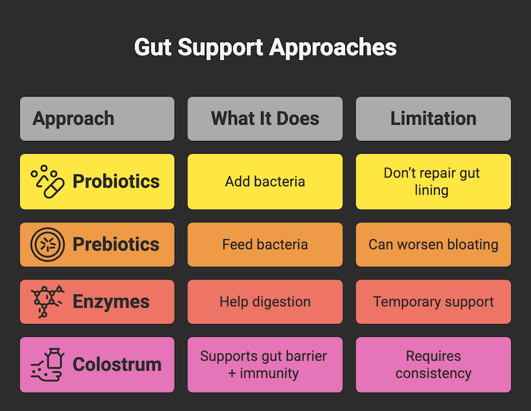 comparison of gut health approaches showing probiotics, prebiotics, enzymes, and colostrum benefits and limitations