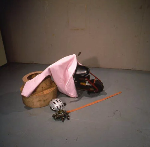 Jorge Pardo and Jason Rhoades, Ranch, 1996, Mixed media, minimum of three objects of various sizes, Edition of 10