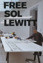 SUPERFLEX - FREE SOL LEWITT