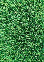 Jessica Stockholder: Grab grassy this moment your I's