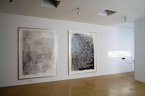 Fiona Banner, Installation View, 2007