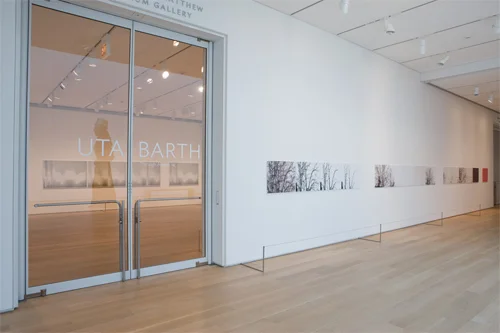 Uta Barth, Installation view, Art Institute of Chicago, 2011