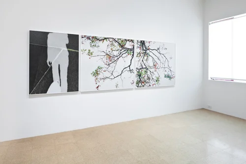 ...to walk without destination and to see only to see. Installation view, 2010