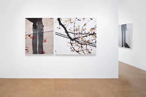 ...to walk without destination and to see only to see. Installation view, 2010