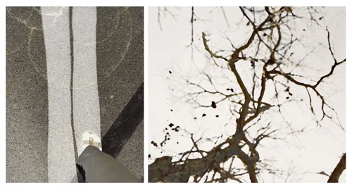 Uta Barth, Untitled, 2010, Mounted color photographs, 2 panels; 41 1/4 x 32 1/4 in, 41 x 46 1/2 in.