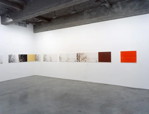 Uta Barth, (installation view) 2004