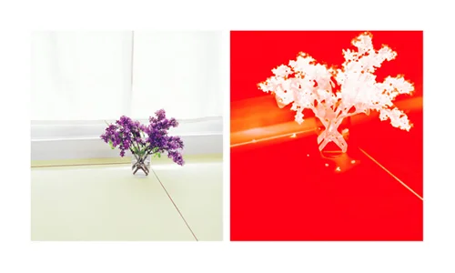 Uta Barth, Untitled, 2006, Mounted color photographs, Each 23 x 21 in.