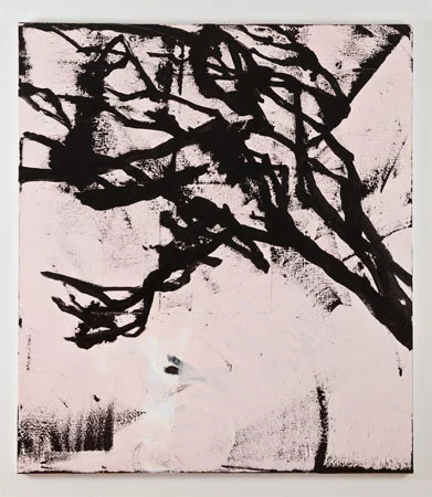Charline von Heyl, Dusty Dafni, 2011, Acrylic on linen, 82 x 72 inches, 208.3 x 193 cm