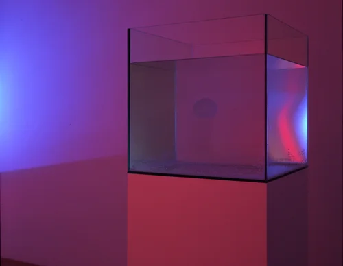 Ann Veronica Janssens, Red and Turquoise, 1992-2005, glass, water, methanol, silicone oil, 15 x 15 x 15 in.