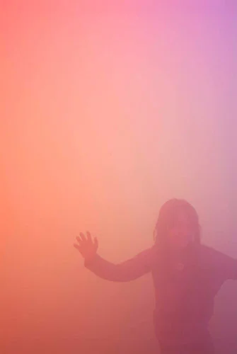 Ann Veronica Janssens, Installation view