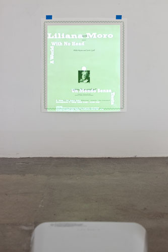 Lyall&Rayne, Rationalisme Applique (detail), 2010, DVD, Picpac crate, projector, poster, The Potter's Studio (diptych)