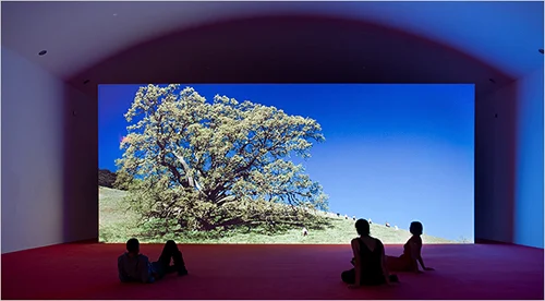 Philippe Parreno, June 8, 1968, Bard Center for Curatorial Center Studies, 2010