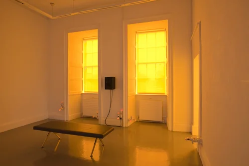 Philippe Parreno, ACDC Snakes (Installation view), 2010