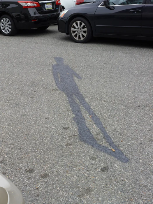 Ana Prvački, Stealing Shadows, 2016, installation view, 1301PE