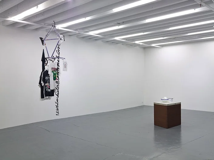 Blake Rayne, Installation view, Miguel Abreu Gallery, New York, 2014