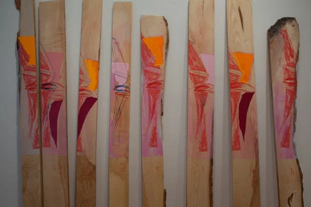 Jessica Stockholder, Scattered Leaves Pink, 2011, screenprinting inks on American ash wood, installation view, Aldrich Contemporary Art Museum, Ridgefield, CT