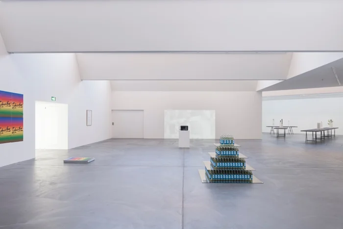 SUPERFLEX, Euphoria Now! , 2015, installation view, von Bartha, Basel.