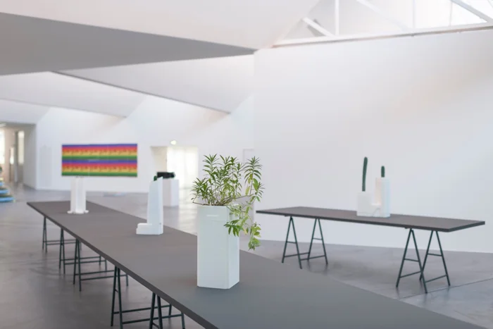SUPERFLEX, Euphoria Now! , 2015, installation view, von Bartha, Basel.