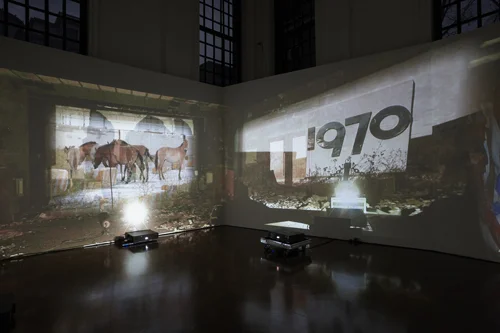 Diana Thater, Chernobyl, Installation view, Hauser & Wirth, London, 2011