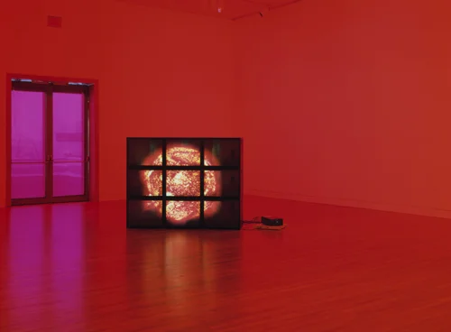 Diana Thater, Red Sun Video Wall, 2000