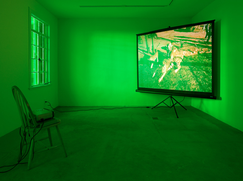 Diana Thater, Perfect Devotion Number Three, 2005
