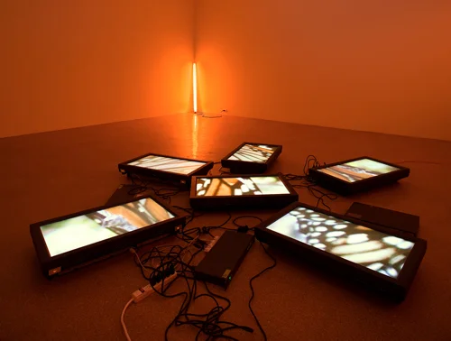 Diana Thater, Untitled Videowall, 2008