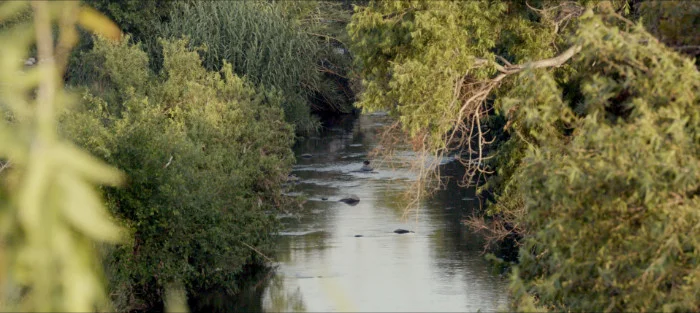Kerry Tribe, Exquisite Corpse, 2016, Single channel video with sound, Duration: 51 minutes, dimensions variable, edition of 5.