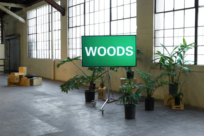 Kerry Tribe, The Loste Note, 2015, Installation view, 356 Mission, Los Angeles.