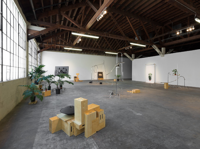 Kerry Tribe, The Loste Note, 2015, Installation view, 356 Mission, Los Angeles.
