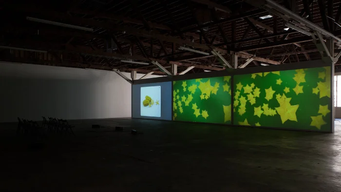 Kerry Tribe, The Aphasia Poetry Club, 2015, Three-channel video with sound, 28:27 minutes. Installation view, The Lost Note, 2015, 356 Mission, Los Angeles.