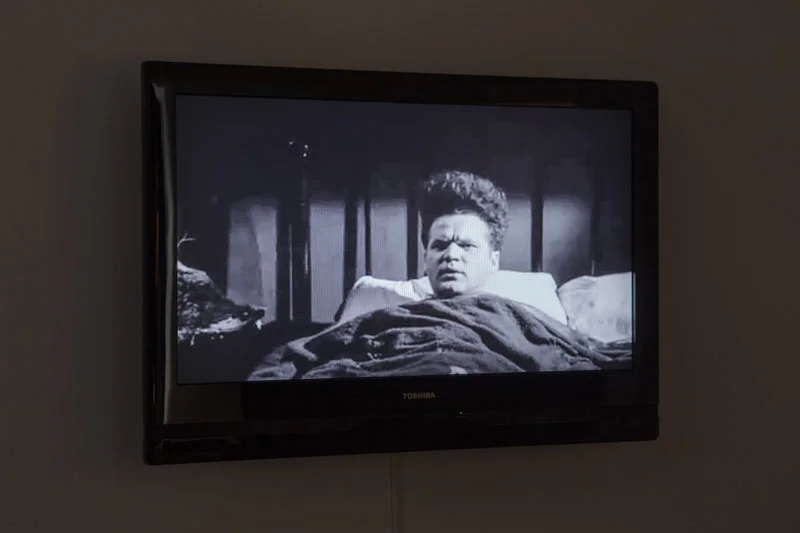 Kerry Tribe, Bibliography (Greystone), 2012, Single channel video with sound, Duration: 10 min 15 sec, edition of 5
