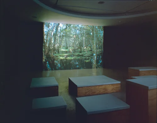 Kerry Tribe, Florida, 2003, Digital projection