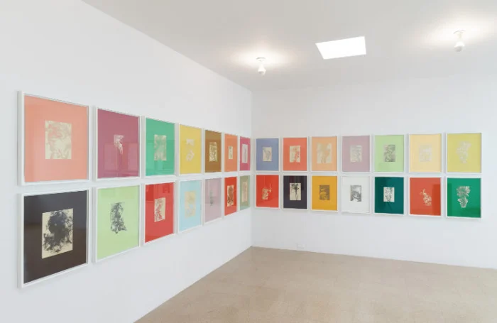 Pae White, Smoke Carvings 1 - 28, 2010, Painted paper, 25.78 x 19.69 inches (each framed), 53.57 x 303.98 x 1.57 inches (overall). Installation view at 1301PE, Los Angeles.