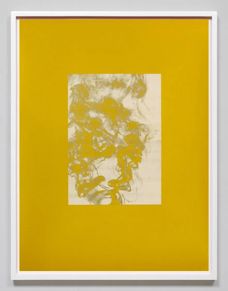 Pae White, Carving 538-R CV-6 Golden, 2010, painted paper, 25 x 19 inches, 63.5 x 48.3 cm,
